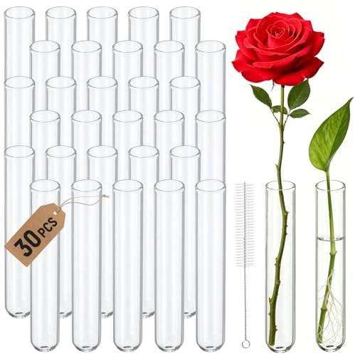 GothicBride 30Pcs 20x150mm Länge Reagenzgläser Glas mit Reinigungsbürste