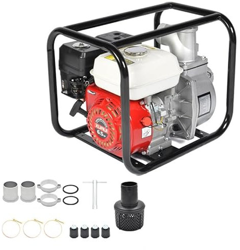 LIULIQ Motor-Gartenpumpe, Benzin-Wasserpumpe Mit 4-Takt 6,5 PS, 3,5 L Kraftstofftank Mit Großem Fassungsvermögen, Nahtloses Stahlrohrgestell Für Gartenrasenbewässerung, Schwimmbad, Wassertransfer