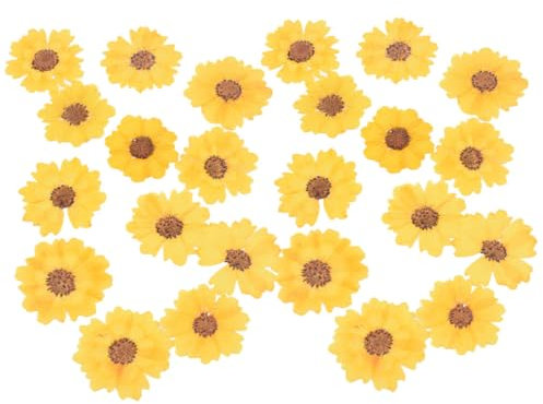 VILLCASE Gepresste Blumen Material Getrocknete Blumen für Projekte Stück Handgefertigt Basteldekor