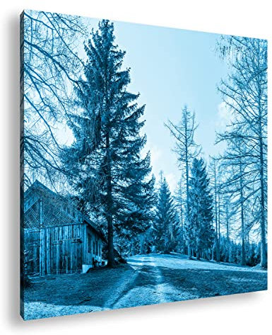 deyoli Vecchia capanna in Legno Effetto Foresta: Disegno su Tela già incorniciata su Telaio in Vero Legno, Stampa Digitale di Alta qualità con Telaio, nessun Poster o Poster, 70x70