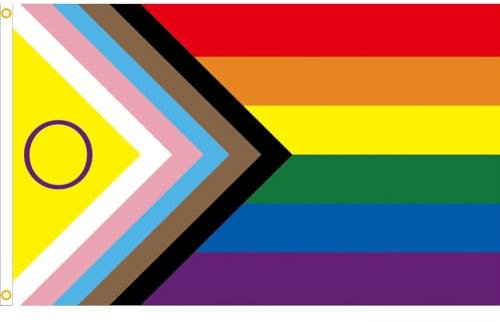 Vobumix Bandera del Orgullo del Progreso del, Bandera Gay LGBT para Festival, Pancarta LGBT con Dos Ojales De Metal para Transgénero, Bisexual, Lesbiana, Asexual