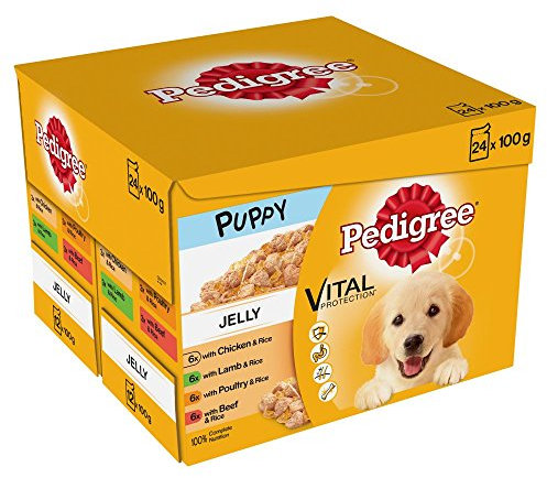Pedigree Junior, Wet Food for Young Dogs and Puppies, Mixed in Jelly, 24 x 100 g