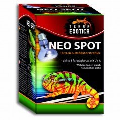 Terra Exotica Neo Spot - Terrarien-Reflektorstrahler mit UV-Strahlung für Terrarienbewohner - Wärme- und Lichtquelle für Ihr Terrarium 25W, 40W, 60W, 75W, 100W und 150 Watt (3, 40 W)