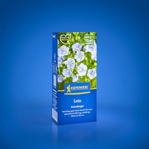 Kiepenkerl Lein Gründünger 1080400, 0,2 kg | Geerntete Samen für eine gesunde Ernährung, Bodenlockerung, Bodenverbesserer, Höhe 60 cm, einjährig