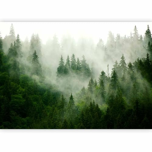 murando Fotomurales autoadhesivos Bosque Niebla 343x256 cm Papel Pintado | Decoración de Pared Murales Pegatina decorativos adhesivos 3d moderna de Diseno Fotográfico Paisaje escandivo