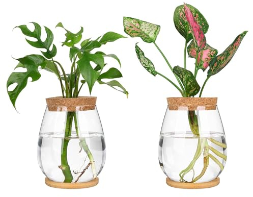 Tagtight Hydrokultur-Pflanzen-Anzuchtstation, Vase en Verre et Créatif, Glas-Pflanzgefäß, Hydrokultur-Glasvase, Tulpen Blumenvase, Hydroponique Végétal Pflanzenterrarium Vase für Home Office Decor