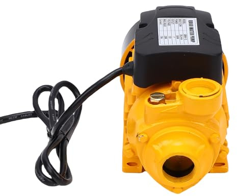 Plyisty Bomba de Agua Solar Estable de CC de 200 W para Riego de Pozos Agrícolas, con Filtro para Drenaje Doméstico, Conector de Tubería de 1 Pulgada, Adecuada para Estanques y Sistemas de Riego