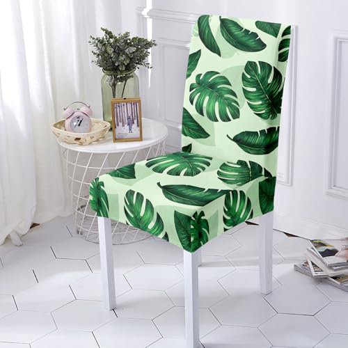 Stuhlhussen Grün Stuhlüberzug Weich Spandex Stuhlhussen Schwingstühle Stuhlbezug Waschbar Stuhl überzug Abnehmbare Stuhlbezüge mit Gummiband Hussen für Stühle Stuhlhussen 4er Set