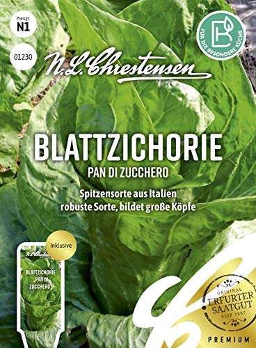 Blattzichorie Pan di zucchero N.L.Chrestensen Samen 1230