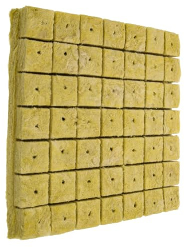 DECOMELODY Blocs De Culture Hors-Sol pour Hydroponique Jardin, Station Propagation Plantes, 49 Cubes 40x40x40 Mm, Perméabilité, Absorption D’oxygène Et Humidité, Favorise La Croissance des p