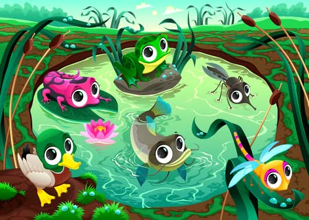 adrium Acryl-Bild 70 x 50 cm: Lustige Tiere im Teich. Cartoon-Vektor-Illustrationen.(34610619)