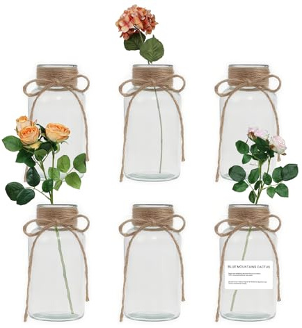 Glass Bud Vase Set of 6-500ml Vintage Glass Vases for Flowers, Table Decoration, Farmhouse Wedding Centerpiece Cylinder Bottle - Cute Handmade Vases