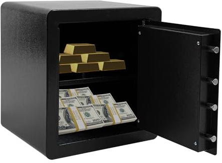 Fingerscan Safe mit Fingerabdruck - Elektronischer Tresor für Zuhause (45L) & Büro - Sicherheitstresor mit 16 Finger-Speicher & Notschlüssel für Geld, Schmuck & Dokumente (Schwarz)