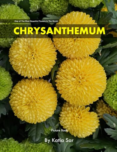 Chrysanthemum: A perfect Coffee Table Picture Book - For Flower Enthusiasts and Gardeners .
