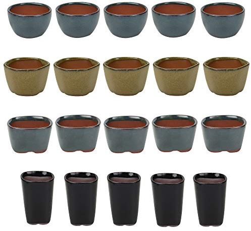 happy bonsai 20 Mini Glazed Pots 1.6 Inch