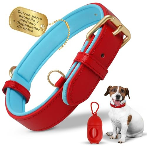 MAHESA® Collar Perro Cuero + Dispensador de Bolsa para Excrementos | Collar Perro Pequeño | Rojo | El Mejor Accesorio para Sus Mascotas