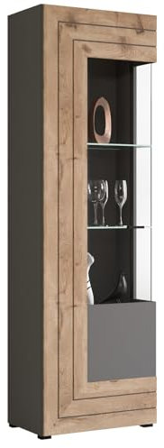 Newroom Vitrine Grau Vitrinenschrank Industrial Modern - 194x60x37 cm (BxHxT) - Glasvitrine Glasschrank Standvitrine - [Dione.Three] Wohnzimmer Schlafzimmer Büro Flur