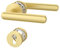 Amerdeco Poignée de Porte Dorée en Aluminium – Ensemble PZ pour Porte d’Entrée, Garniture de Poignée de Porte