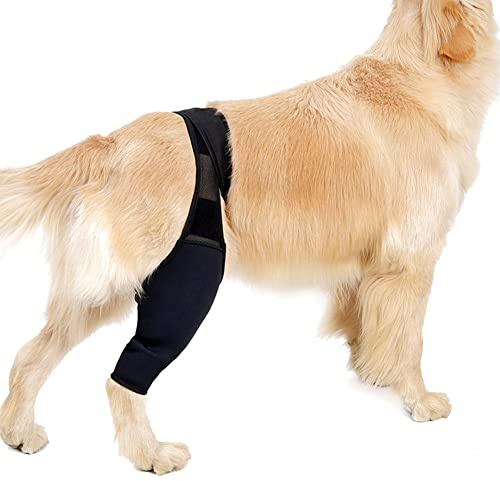 ODOORACT Knieschützer für Hunde, Rehab-Knieschutz für Hunde, Karpalgelenk Schutz Bandage für Hunde für Kreuzbandverletzungen, Ausgerenkte Kniescheiben, Arthrose L