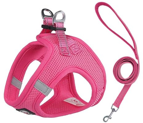Lalazoo Miami Hundegeschirr Step-in – No-Pull leicht & atmungsaktiv gepolstert & reflektierend verstellbar mit Doppel-D-Ring & Sicherheitsverschluss für kleine Hunde Welpen inkl. Leine – Rosa, XXXS