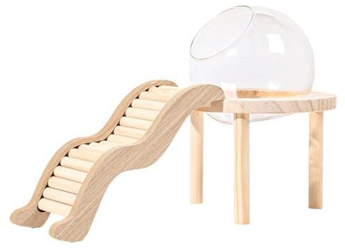Fiocias Hamster Sandbad Box mit Leiter Badewanne Sandkasten Holzleiter Glasbehälter Leicht zu Reinigen für Zwerghamster Mäuse Kleine Haustiere Heimdekoration, S