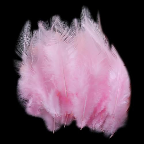 200 Stück 10–15 cm Hahnfedern, flauschige natürliche Federn, Bastelfedern, Schmuckherstellung, Federn, Traumfänger, Federn, dekorative Bastelfedern für Party, Kostüm, Rosa