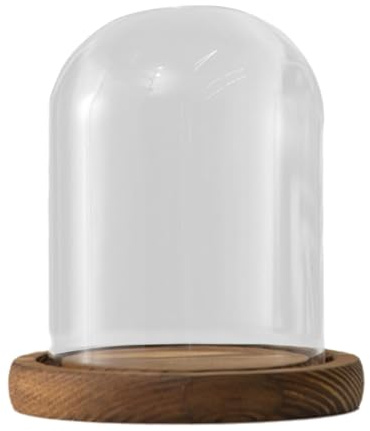 MagiDeal Vetrina da Tavolo con Campana a Cloche a Cupola in Vetro, Versatile con Base in Legno Diametro 9 cm per bigiotteria, Accessori per ricordi, Style a
