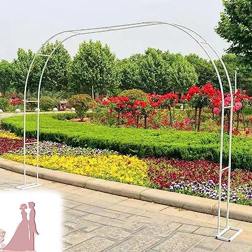 Arche de jardin avec cadre en acier résistant aux intempéries pour plantes grimpantes, treillage autoportant, pergola, blanc, 2,4 m de large x 2,2 m de haut