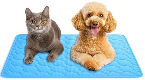 AEYAKA Kühlmatte für Hund Kühlkissen Haustier Trainingspads Waschbares Matte für Hunde und Katze, rutschfest & Vielseitig Einsetzbar für Zuhause, Unterwegs & im Auto Blau 60 x 50 cm