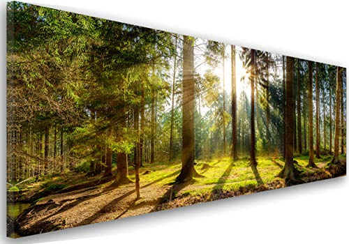 Feeby Bilder Wald Bäume 150x60 cm Wohnzimmer Schlafzimmer Büro Flur Küche Wandbilder Modern Bild auf Leinwand Wanddekoration Kunstdruck Design Natur Sonne Grün Braun