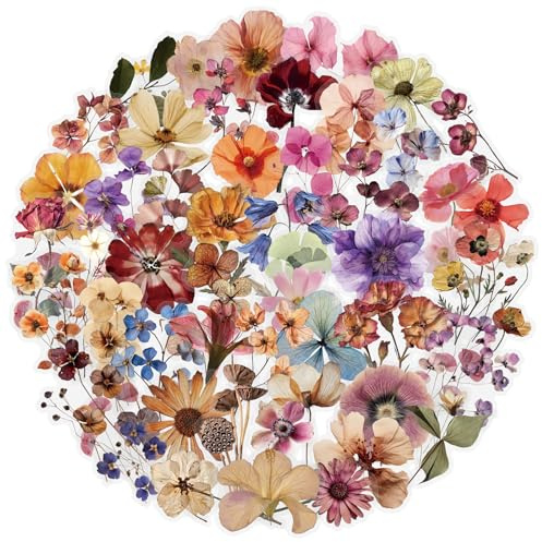 PRETTYSUNSHINE Vintage Blumen Sticker Set 50 Stück, Aesthetic Getrocknete Blumen Aufkleber für Journal, Scrapbook, Kindle, Auto, Fahrrad, Koffer, Helm, Laptop, Wasserfest Transparenter PET-Aufkleber