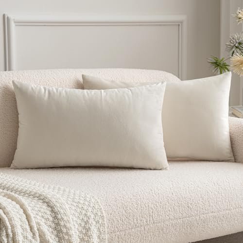 MIULEE 2er Set SAMT Weihnachten Kissenbezug Kissenhülle Dekorative Dekokissen Sofakissen Lendenkissen Wurfkissenbezug mit Verstecktem Reißverschluss Sofa Schlafzimmer 12x20 Inch 30x50 cm Creme weiß