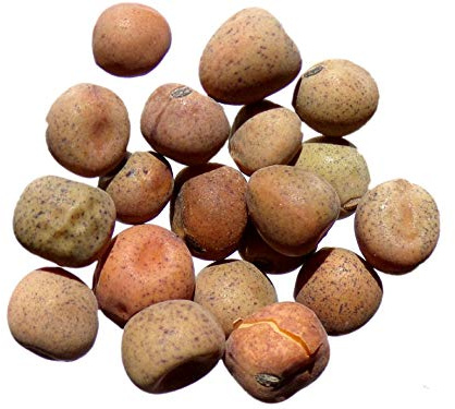 Pois Fourrager d'Hiver EFB33 Bio - 250 grammes - Pisum Sativum L. - Pea - (Engrais vert) - SEM02