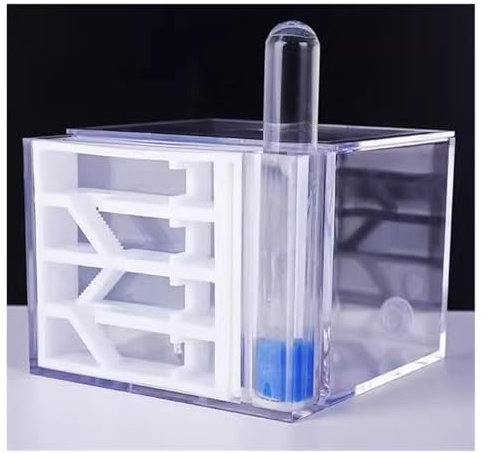 Ameisenfarm, Ameisenhaus, Ameisenfarm, Acryl, transparent, Ameisenbeobachtung, Verhaltensstudie, Ameisen und Königinbildung, Ameisennest, Ameisenburg
