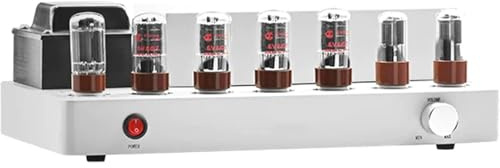 OSPSHPG Stereo Tube Amplifier, 9w×2 Rms Vacuum Tube Power Amp, with Bluetooth 5.0, 20hz-20khz Frequency Response, Low Distortion, for Home and Outdoor Speakers