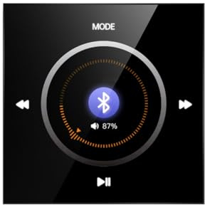 WJDXBNS Altavoz de techo compatible con panel de control de audio Bluetooth con amplificador de pared 86 2 x 25 W para de música de fondo para el hogar A