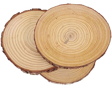 OFFSCH 3 Stück Garten Holz Trittsteine Gehweg Holzpflaster Gartenholzscheiben Ø18-20cm 2cm Gartendeko Außenbereich