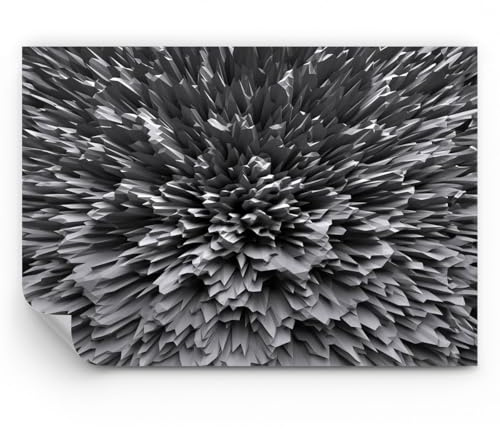 ARTTOR Papier Peint Panoramique Standard - 3D Moderne Tridimensionnel - 100x70 cm - Revêtement mural décoration Moderne Décoration Wallpaper Tableaux Muraux Photo Salon Chambre - WF1AA100x70-5242