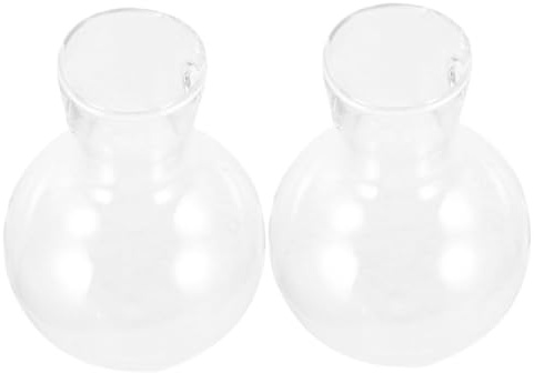 WEKADRIN Vaso Per Piante in Vetro Borosilicato Trasparente 2 Pezzi, Porta Piante Da Interno Per Composizioni Floreali e Terrario, Decorazione Casa Per Soggiorno e Ufficio