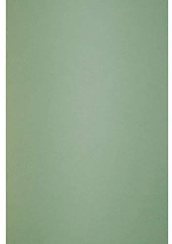Netuno 50x Grün Premium Karton DIN A4 21 x 29,7 cm 300g Keaykolour Matcha Tea Naturkarton Kreativ Karten ökologisch zum Gestalten von Einladungs Hochzeits Geburtstags