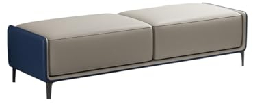 Bettbank Schlafzimmer Moderne Bettbank, Schuhbank aus Leder for den Eingangsbereich, gepolsterte Aufbewahrungsbank, for Schlafzimmer, Wohnzimmer, Ankleidezimmer zur Mehrzwecknutzung Bank Sitzbank ( Co