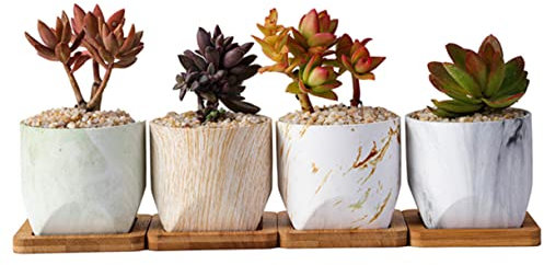 OFFSCH Teiliger Keramik-blumentopf Für Sukkulenten Blumen Topf Mit Blumentopf Mit Untersetzer Für Haushalt Wassertransferdruck Ohne Pflanze