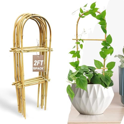 Avalution 10 Stück Bambus U Rankgitter für Kletterpflanzen, 60 cm Gartenleiter, Rankhilfe für Topfpflanzen im Innenbereich, Leiter, kleine Pflanzenstütze, Rankgitter für Zimmerpflanzen, Efeu, Hoya