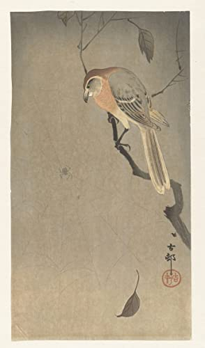 IPLUPJDY Kunstdruck Leinwand Poster Bilder Leinwand Poster Druck Blühende Azalee im braunen Topf von Ohara Koson für Heimdekoration60x90cm
