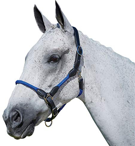 Kincade Leather Rope Head Collar Full Size Blue