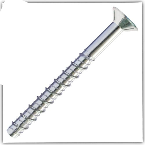 Bricoloco.com Vis à tête fraisée pour béton sans cheville insertion directe dans le matériau. Fixations lourdes et durables Résistant au feu (50, 12 x 180 mm)