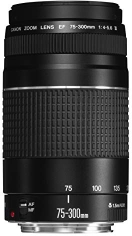 Canon EF 75-300mm F4-5.6 III Objektiv für EOS (58mm Filtergewinde) schwarz