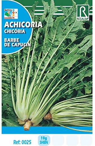 ACHICORIA BARBE DE CAPUCIN - SOBRE DE SEMILLAS 10 GR