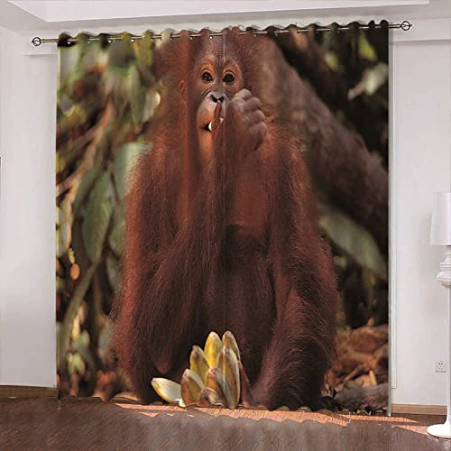 Ösenschal Vorhang 2 Stück x 168 B x 229cm H Tier & Gelber Orang-Utan Blickdicht Aber lichtdurchlässig Dekoschal Microfaser mit wunderschön leichtem Fall - Gardine
