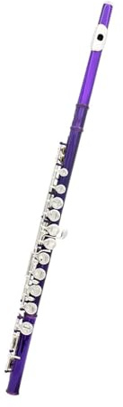 Flauto traverso flauto per principianti Flauto viola 16 fori C Tune Flauto con scatola in pelle Borsa per flauto Accessori per strumenti musicali Kit di pulizia